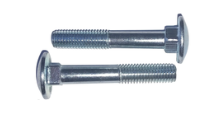 Cup Square Bolts